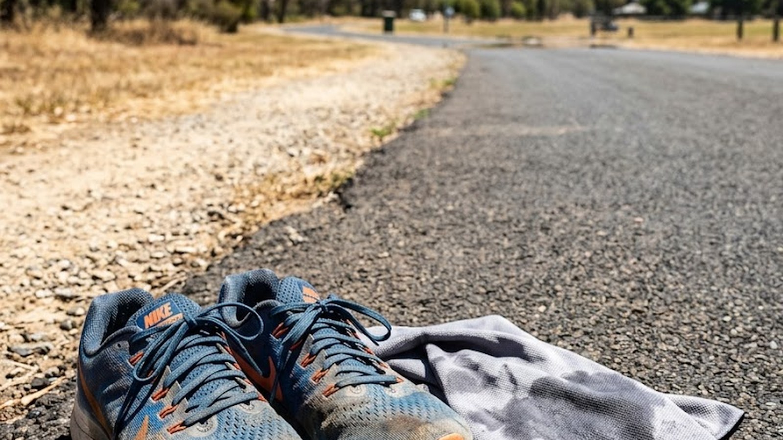 Heat acclimatization protocol: physiological adaptations, athlete and sauna-based protocols, Wasaga seasonal pattern, race-day strategy, heat illness