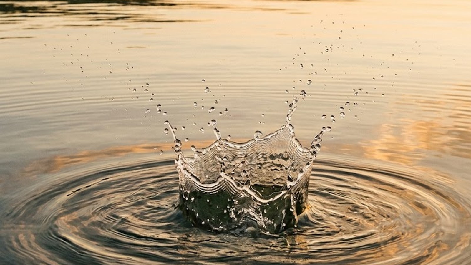 Open-Water Swimming: Breath Cadence and Cold Acclimation