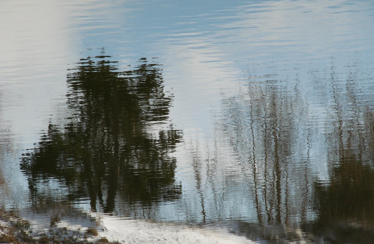The dune-and-pine trails of Wasaga Beach Provincial Park