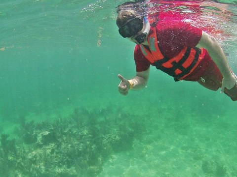 Tim snorkelling over a reef, giving a thumbs-up